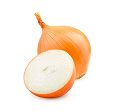 Cebola comum